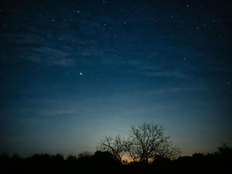 摄影艺术,摄影艺术, 自然, 夜空, 没有人类, 天空, 夜晚, 风景, 星星（天空）, 树, 夜空, 星空, 新月, 户外, 月亮, 光秃秃的树, 云, 自然