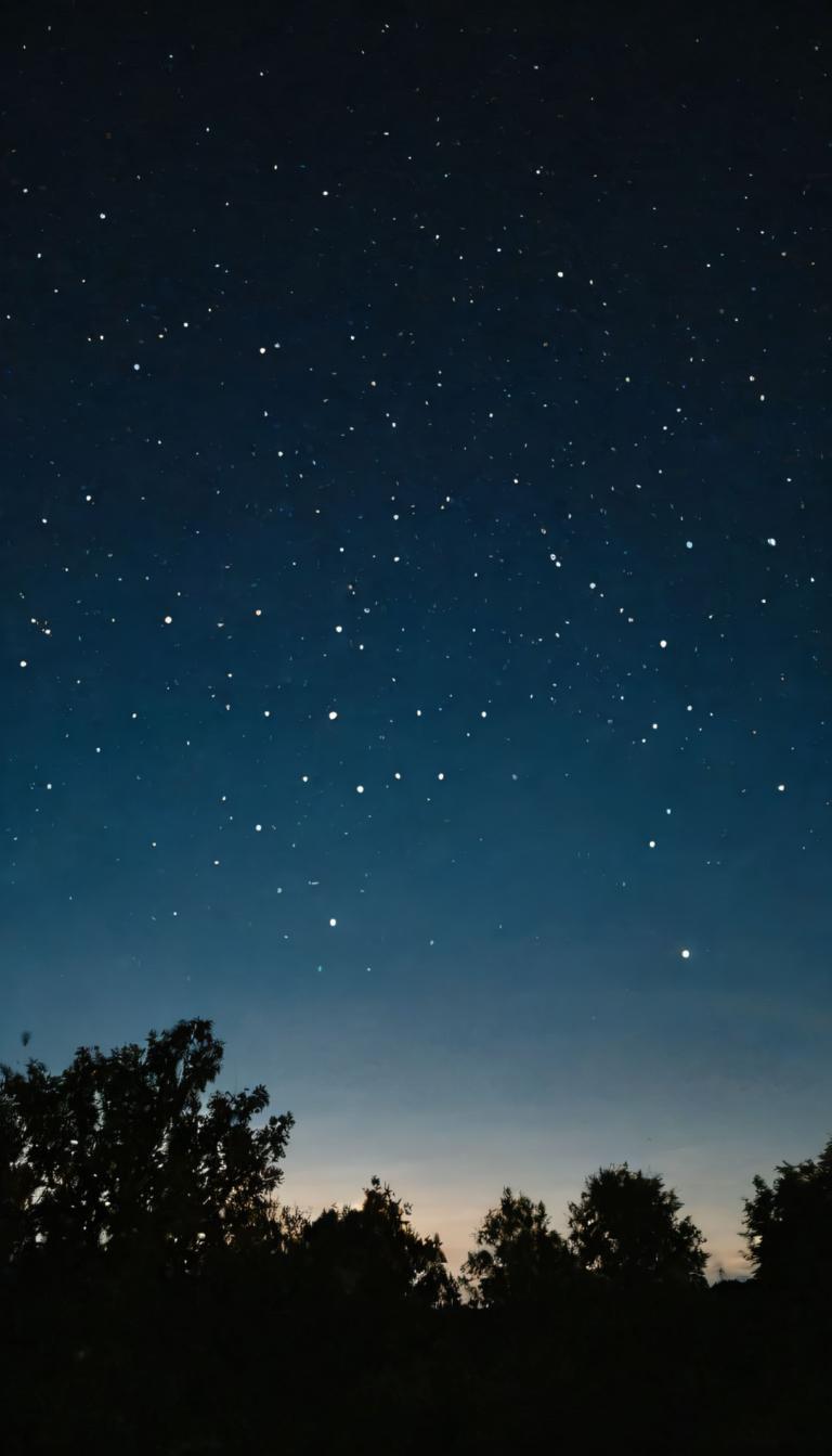 写真芸術,写真芸術, 自然, 夜空, 人間がいない, 星（空）, 空, 星空, 景色, 夜, 木, 屋外, 夜空, 自然, 森