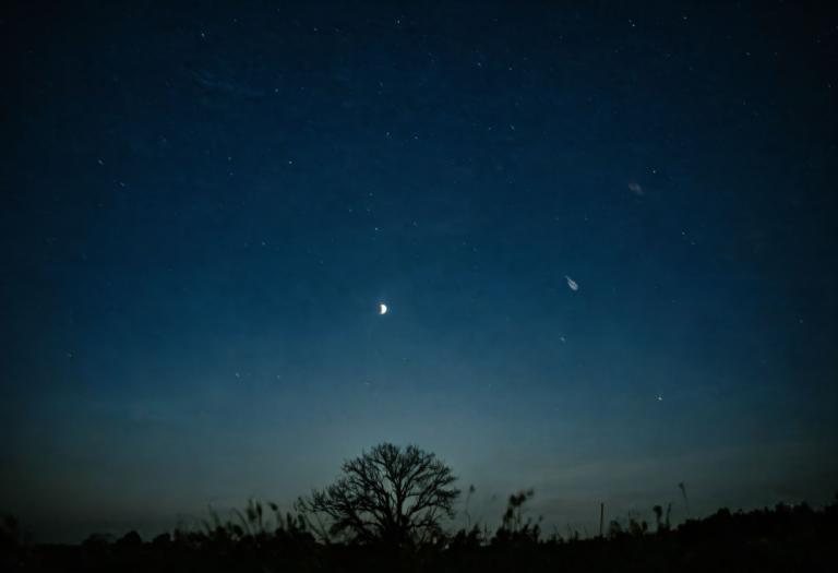 Photographic Art,Photographic Art , Nature, night sky, no humans, sky, night, scenery, tree, star (sky)