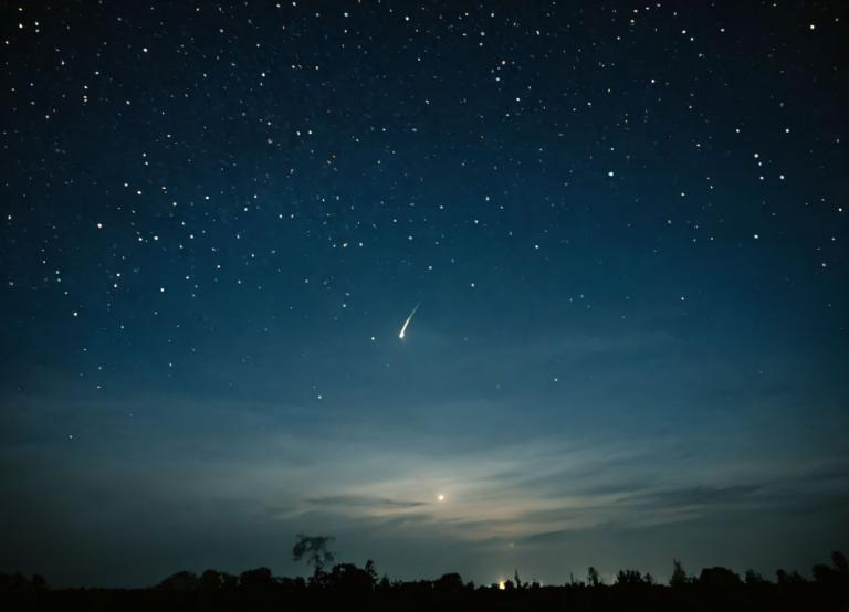 写真芸術,写真芸術, 自然, 夜空, 空, 星（空）, 夜, 景色, 星空, 夜空, 人間がいない, 屋外, 木, 流れ星, 雲