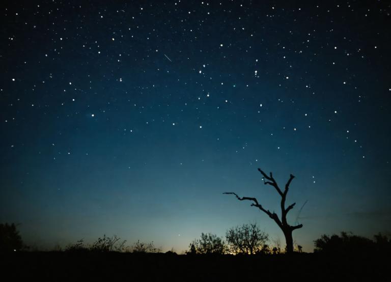 Fotokunst,Fotokunst, Natur, Nachthimmel, keine Menschen, Himmel, Sternenhimmel), Baum, Nacht