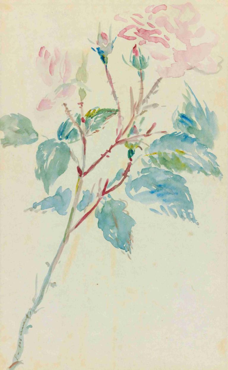 Églantines,Eglantines,Edouard Manet,Waterverf,Waterverf, schilderij (middel), geen mensen, aquarel (medium)