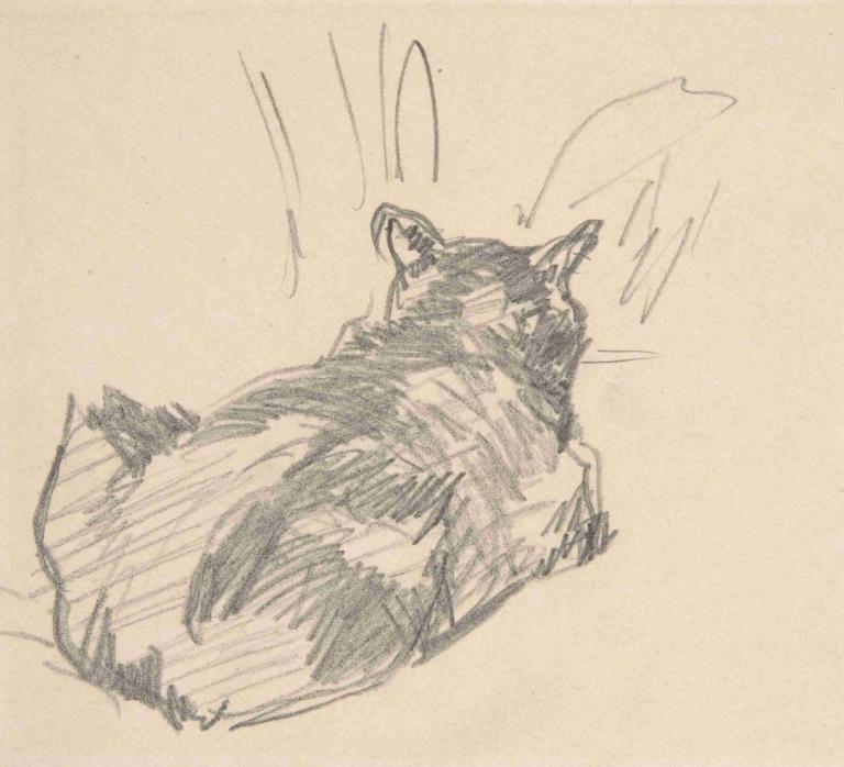 A Cat Resting on All Fours, Seen from Behind,Edouard Manet,Sketch,Sketch, monochrome, traditional media