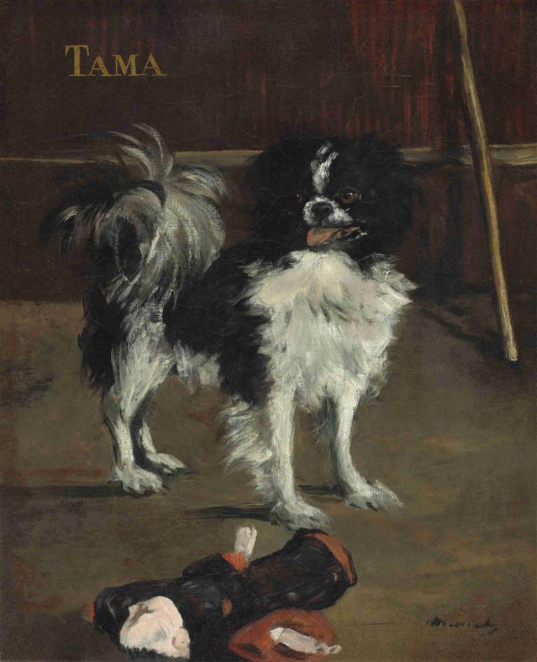 Tama,the Japanese Dog,Tama, de Japanse hond,Edouard Manet,Olieverf,Olieverf, zwart haar, liegen