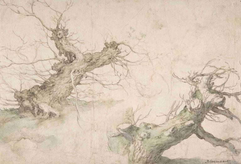 Studies of Two Pollard Willows,Studier av två pollardpilar,Abraham Bloemaert,Skiss,Skiss, träd