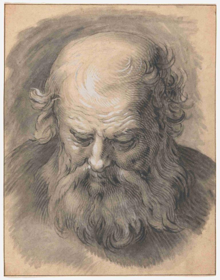 Study of the Head of a Bearded Man,Studie av huvudet på en skäggig man,Abraham Bloemaert,Skiss,Skiss, 1 pojke