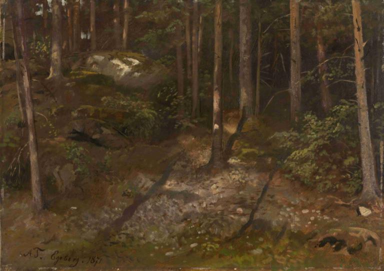 Forest Study,Adolph Tidemand,Oil Painting,Oil Painting, nature, forest, no humans, scenery, outdoors, tree