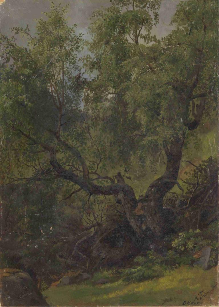 Forest Study from Numedal,Adolph Tidemand,Oil Painting,Oil Painting, no humans, tree, outdoors, scenery