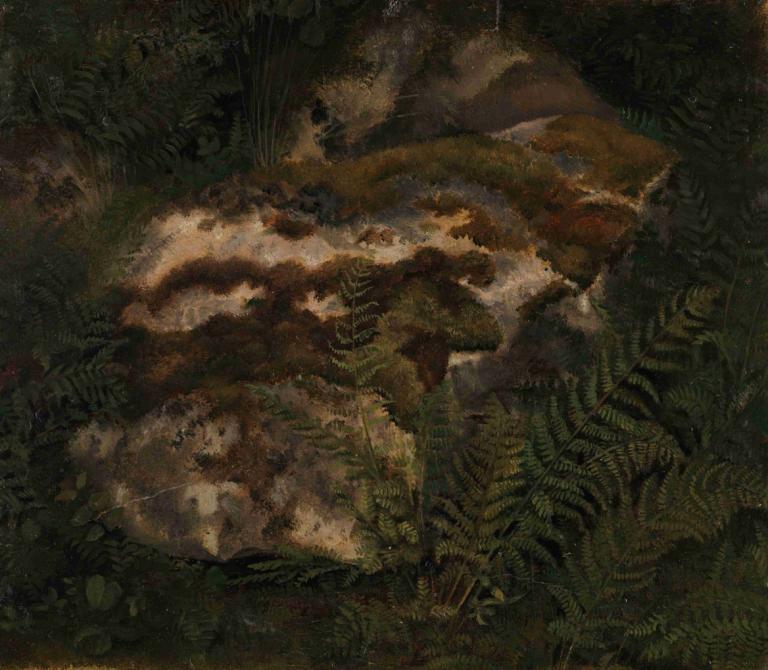 Study of an Moss-covered Stone and Ferns,Исследование камня, покрытого мхом, и папоротников,Adolph Tidemand