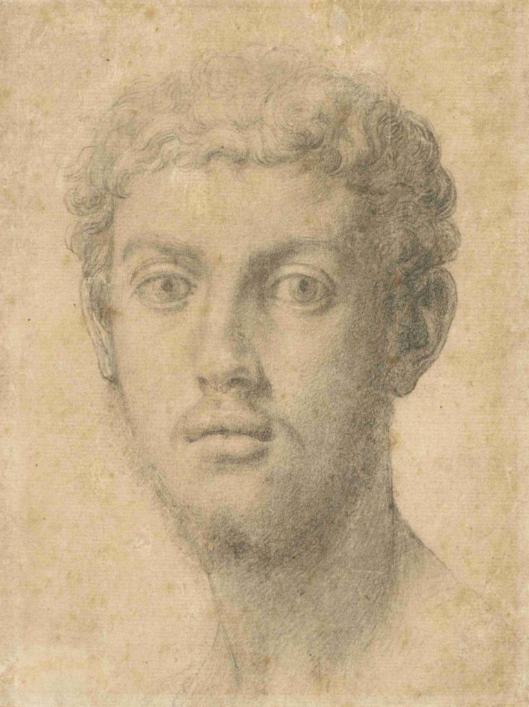 Head of a Man,Agnolo Bronzino,Sketch,Sketch, solo, 1boy, male focus, monochrome, facial hair, portrait