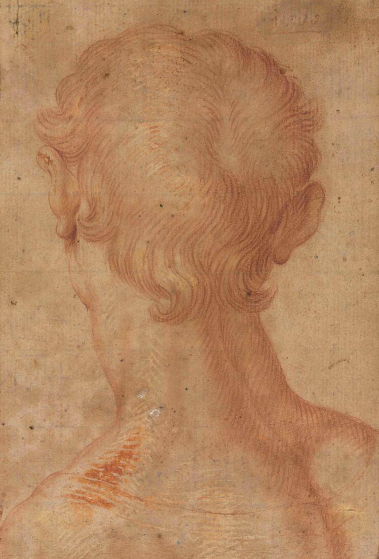 Man's Head from the Back,Agnolo Bronzino,Color Sketch,Color Sketch, 1boy, solo, male focus, from behind