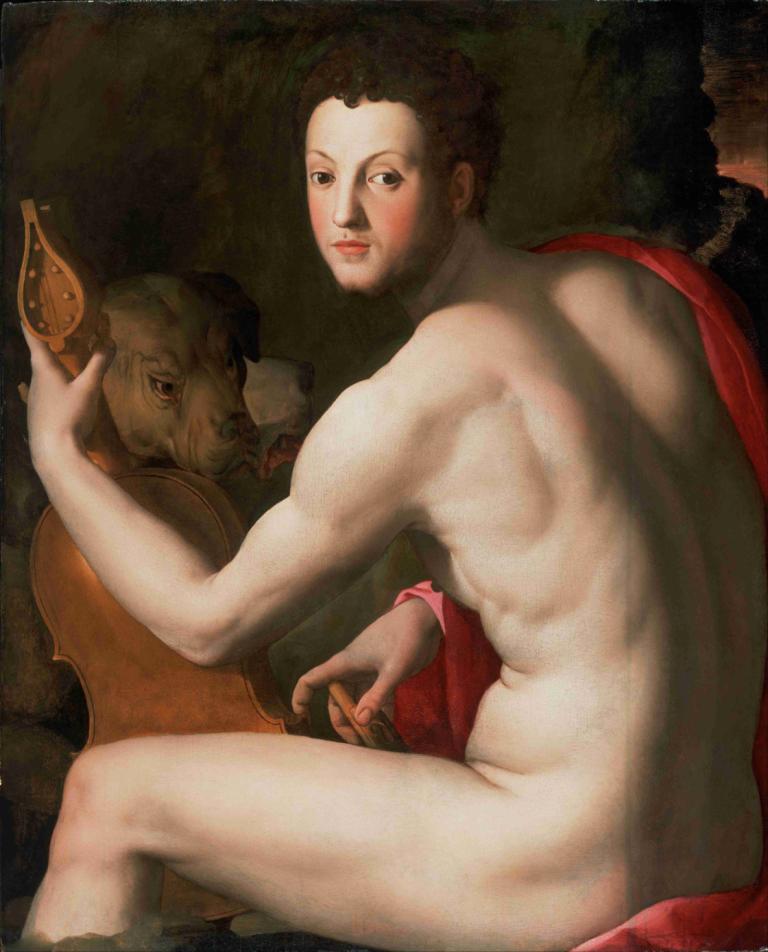 Portrait of Cosimo I de' Medici as Orpheus,Agnolo Bronzino,Oil Painting,Oil Painting, fine art parody, 1boy