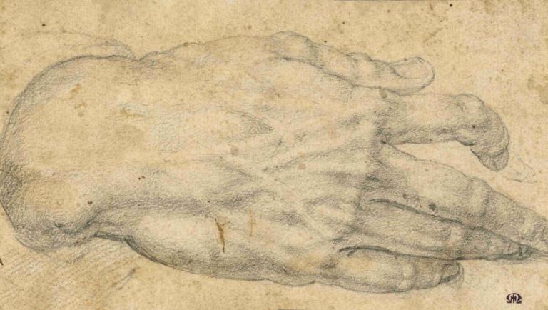 Study of a man's right hand,Agnolo Bronzino,Sketch,Sketch, no humans, monochrome, solo, lying, animal