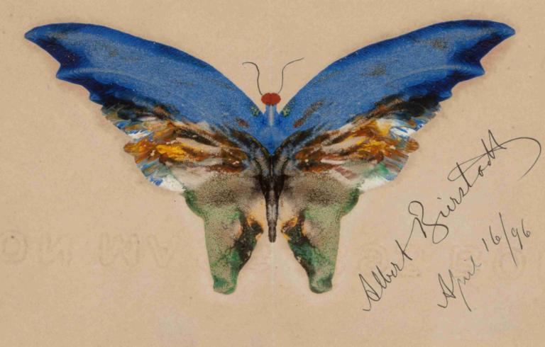 Blue Butterfly,Μπλε πεταλούδα,Albert Bierstadt,Εικονογράφηση,Εικονογράφηση, παραδοσιακά μέσα, όχι ανθρώπους