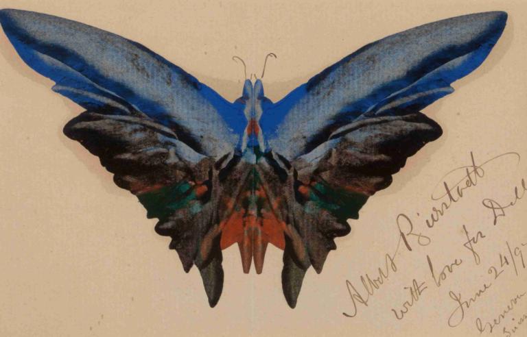 Butterfly, For Dell,Kupu-kupu, Untuk Dell,Albert Bierstadt,Ilustrasi,Ilustrasi, tidak ada manusia, sayap