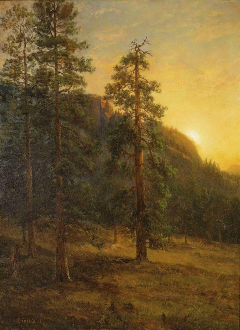 California Redwoods,Albert Bierstadt,Oil Painting,Oil Painting, scenery, no humans, tree, outdoors, sky