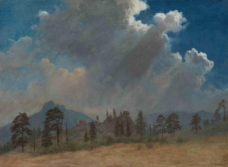 Fir Trees and Storm Clouds,Albert Bierstadt,Oil Painting,Oil Painting, no humans, scenery, outdoors, sky