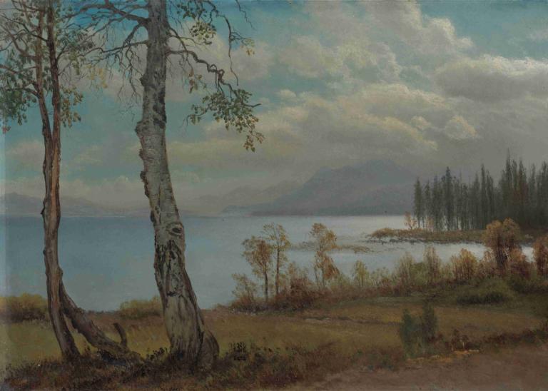 Lake Tahoe,レイク・タホ,Albert Bierstadt,アルバート・ビアシュタット,油絵,油絵, 人間がいない, 木, 景色, 屋外, 雲, 空, 自然, 日, 水, 草, 曇り空, 風景, 従来のメディア