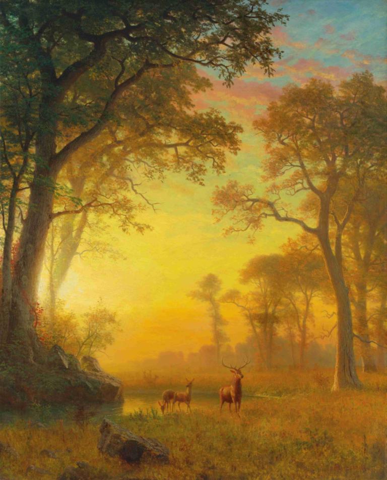 Light In The Forest,森林之光,Albert Bierstadt,阿尔伯特-比尔斯塔特,油画,油画, 树, 风景, 没有人类, 户外, 草, 鹿, 自然, 日落, 天空, 岩石, 森林, 马, 动物