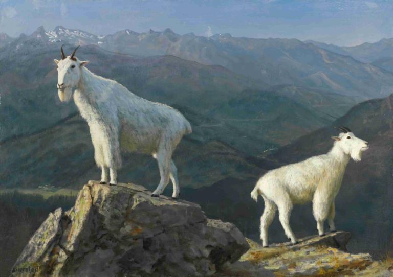 Mountain goats,山羊,Albert Bierstadt,阿尔伯特-比尔斯塔特,油画,油画, 没有人类, 户外, 风景, 山, 动物, 天, 喇叭, 绘画（中）, 天空, 传统媒体, 常设