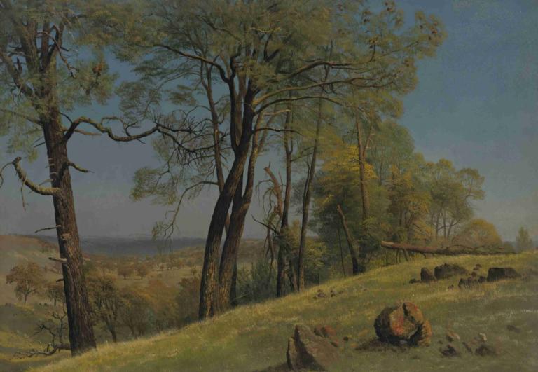 Rockland county, california,캘리포니아주 록랜드 카운티,Albert Bierstadt,알버트 비어슈타트,오일 페인팅,오일 페인팅, 옥외, 나무, 인간은 없어, 경치, 잔디