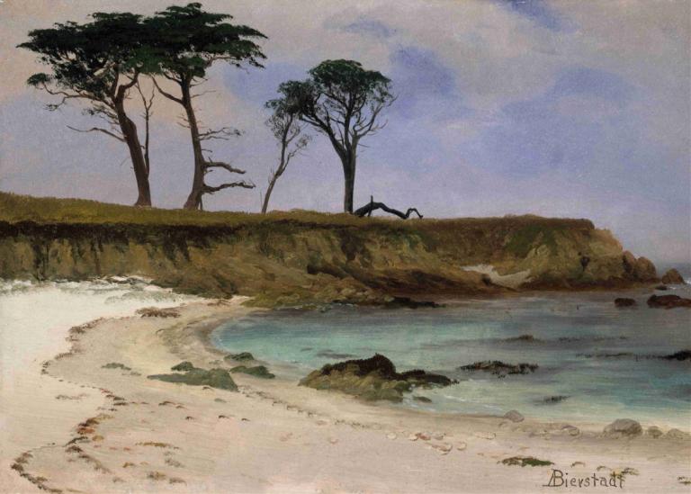 Sea Cove,씨 코브,Albert Bierstadt,알버트 비어슈타트,오일 페인팅,오일 페인팅, 인간은 없어, 나무, 옥외, 경치, 전통 미디어, 하늘, 구름, 낮, 회화 (중), 물, 바위