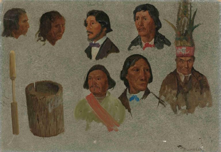 Seven Indian Portraits And One Primitive Utensil,七幅印第安人肖像和一件原始器皿,Albert Bierstadt,阿尔伯特-比尔斯塔特,插画,插画, 多个男孩, 胡子