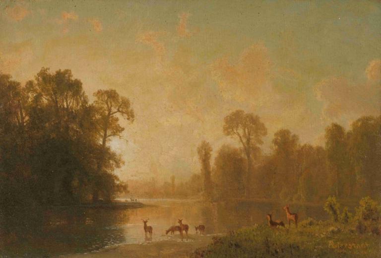 Twilight With Deer,Somrak z jelenom,Albert Bierstadt,Oljna slika,Oljna slika, konj, drevo, kulisa, na prostem