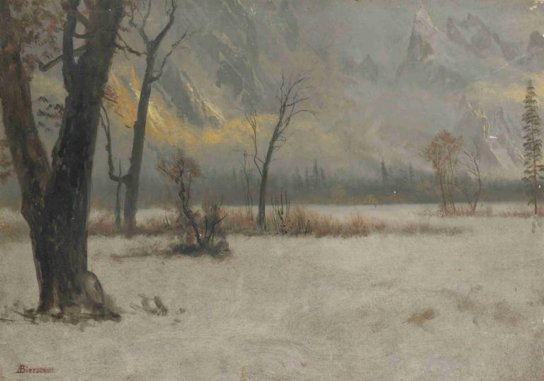 Winter Landscape,Zimska pokrajina,Albert Bierstadt,Oljna slika,Oljna slika, drevo, brez ljudi, kulisa