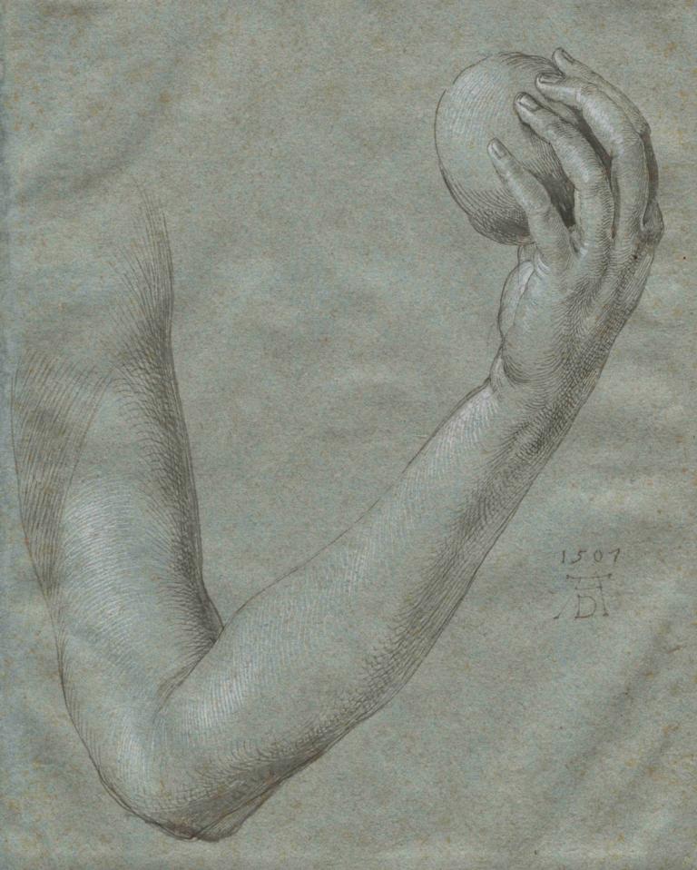 Arm of Eve,Rameno Evy,Albrecht Dürer,Náčrt,Náčrt, černobílý, sólo, ovoce, tradiční média, jídlo, 1 kluk