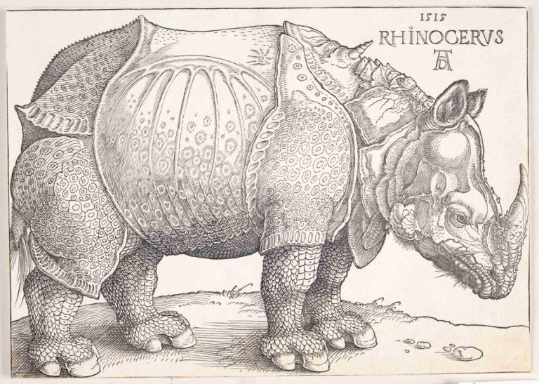 The rhinoceros,Ο ρινόκερος,Albrecht Dürer,Σκίτσο,Σκίτσο, μονόχρωμος, όχι ανθρώπους, κλίμακα του γκρι