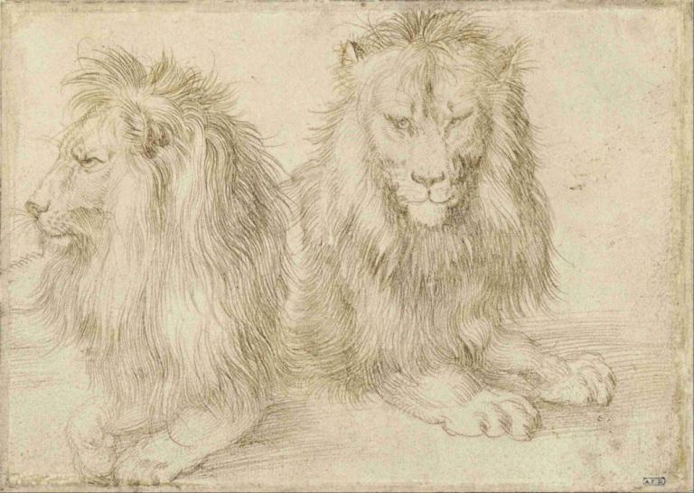 Two seated lion,座った2頭のライオン,Albrecht Dürer,アルブレヒト・デューラー,スケッチ,スケッチ, ライオン, 人間がいない, モノクロ, 従来のメディア, 目を閉じた, 動物, 現実的な