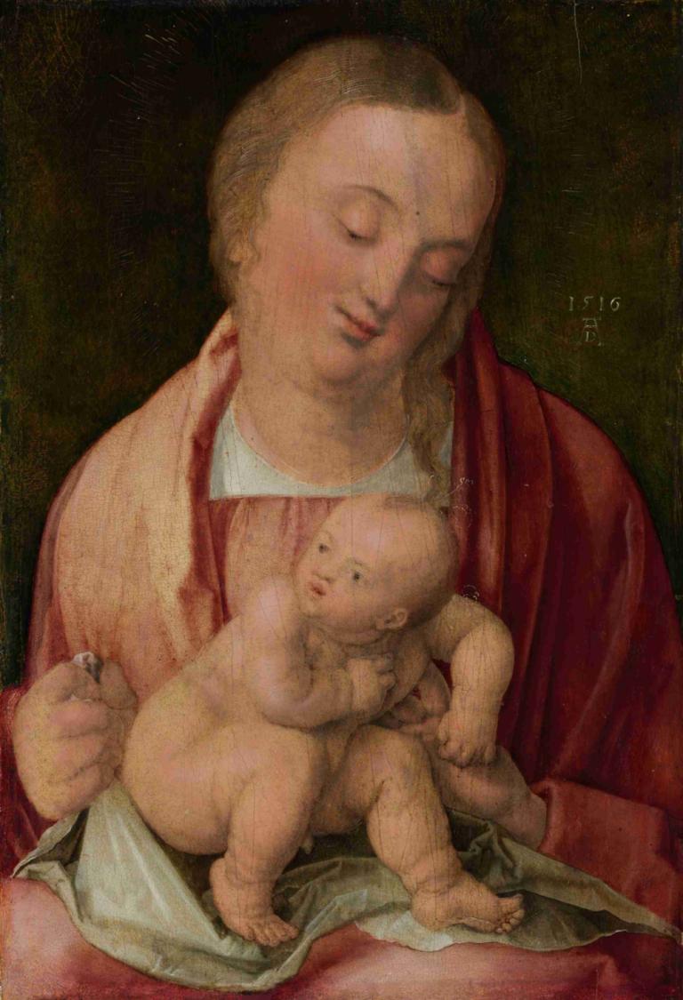 Virgin and Child,Παναγία και παιδί,Albrecht Dürer,Ελαιογραφία,Ελαιογραφία, μωρό, παρωδία καλών τεχνών