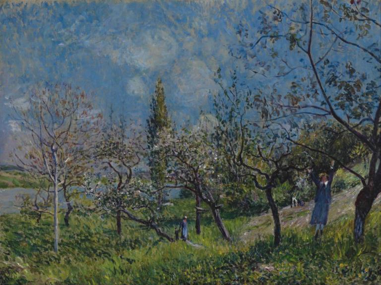 Orchard in Spring,Alfred Sisley,Oil Painting,Oil Painting, tree, outdoors, grass, scenery, traditional media