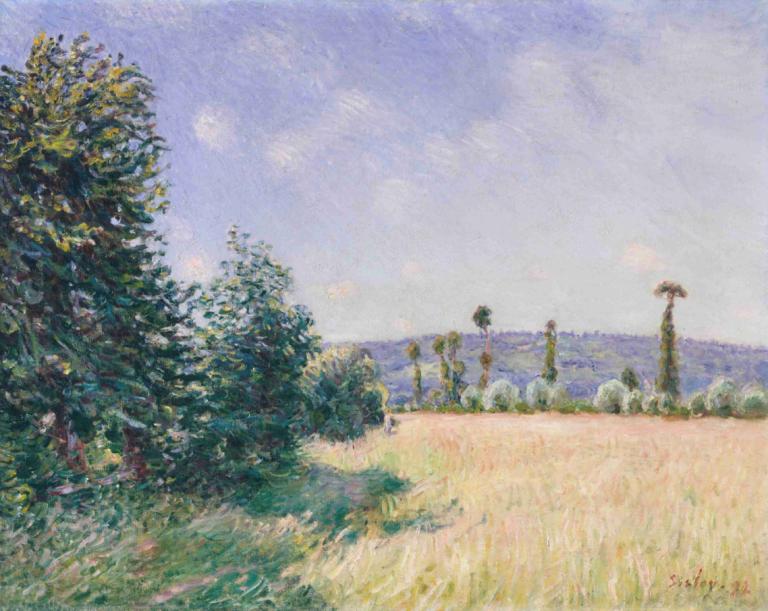 Sahurs Meadows in Morning Sun,아침 햇살의 사후르 초원,Alfred Sisley,알프레드 시슬리,오일 페인팅,오일 페인팅, 경치, 옥외, 인간은 없어, 나무, 전통 미디어