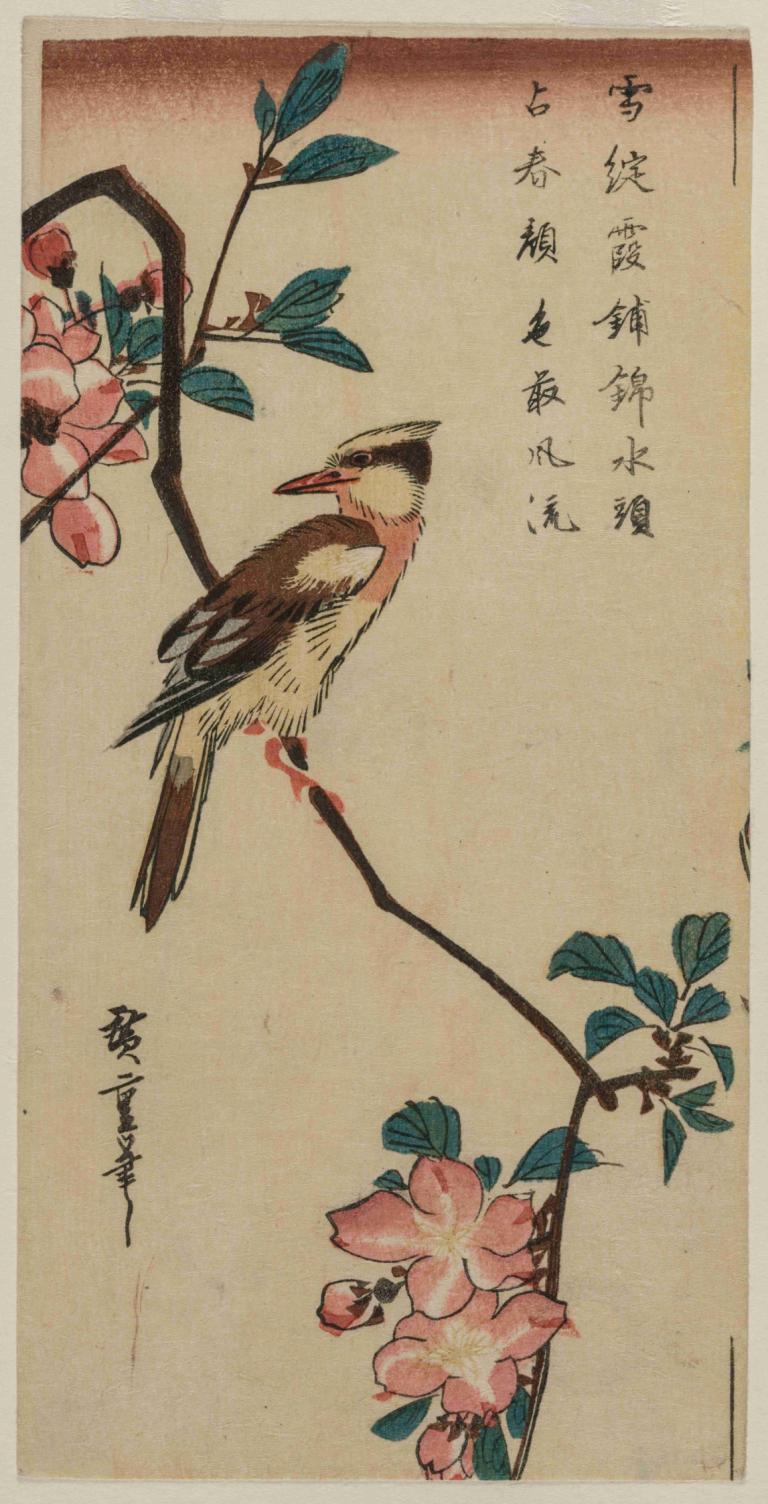 Black-Naped Oriole (Korean Warbler) on a Hall Crabapple,大堂海棠上的黑枕金鶯(韓鶯),Andō Hiroshige,安藤廣重,浮世繪,浮世繪, 沒有人類, 分支