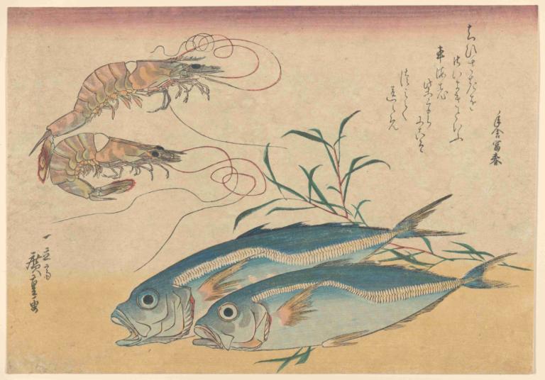 Kuruma Ebi, Aji Prawns, and Horse Mackerel,Andō Hiroshige,Ukiyo-E,Ukiyo-E, no humans, fish, string