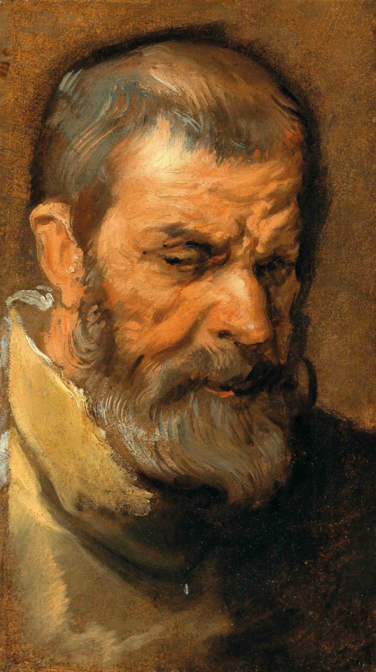 Head Of A Bearded Man,Hlava Vousatého Muže,Anthony van Dyck,Olejomalba,Olejomalba, 1 kluk, sólo