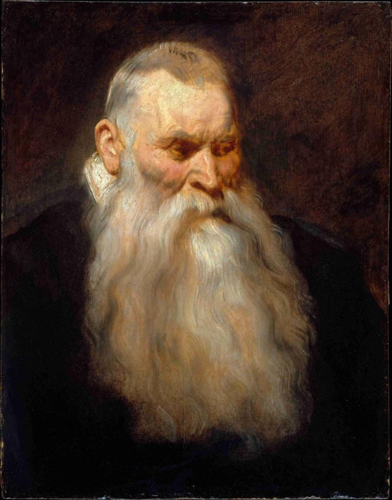 Study Head of an Old Man with a White Beard,Studio Testa di un vecchio con barba bianca,Anthony van Dyck