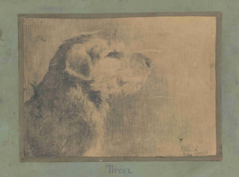 Dog Tirán,Dog Tiran,Arnold Peter Weisz-Kubínčan,阿诺德-彼得-魏斯-库宾,素描,素描, 没有人类, 从侧面, 单色, 照片（物体）, 独奏, 胡须