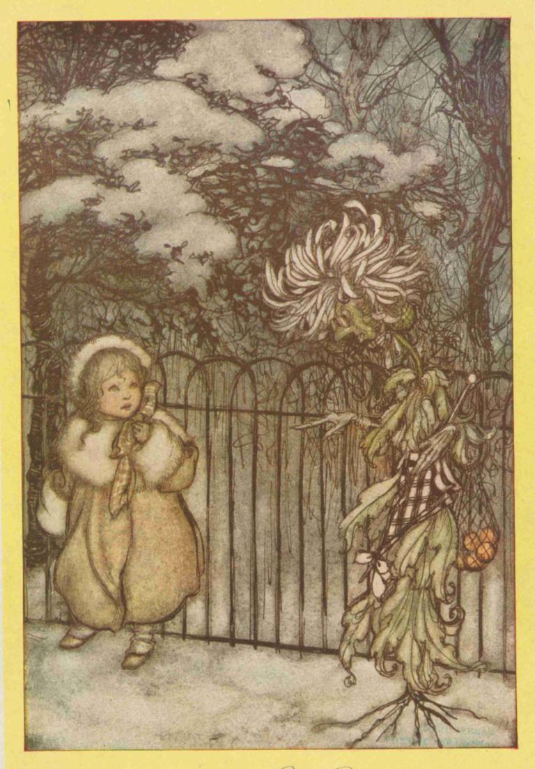 A chrysanthemum heard her, and said pointedly, 'Hoity-toity, what is this',Arthur Rackham,Illustration