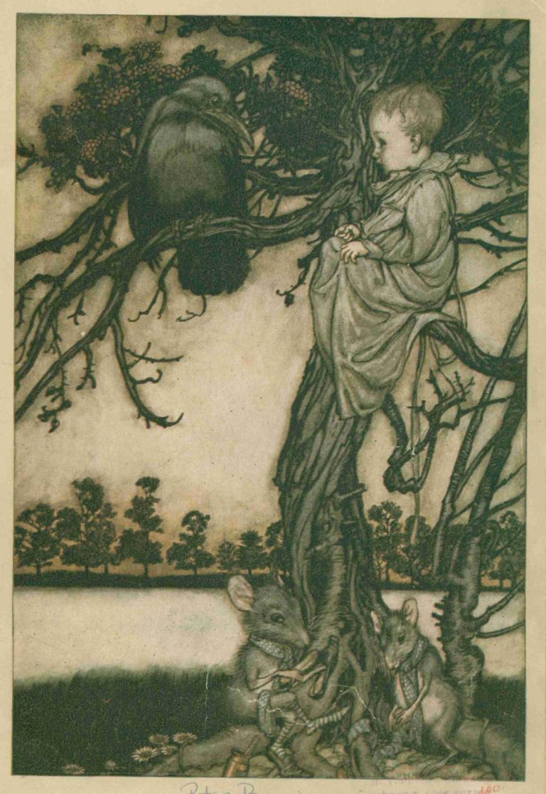 Put his strange case before old Solomon Caw,把他的怪事摆在老所罗门-考面前,Arthur Rackham,亚瑟-拉克姆,插画,插画, 树, 鸟, 鹿, 单色, 独奏, 1男孩