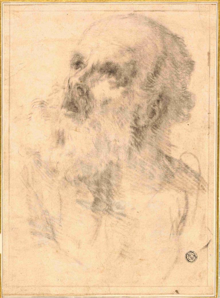 Head of an Old Man,Bartolomé Estebán Murillo,Sketch,Sketch, 1boy, male focus, solo, monochrome, beard