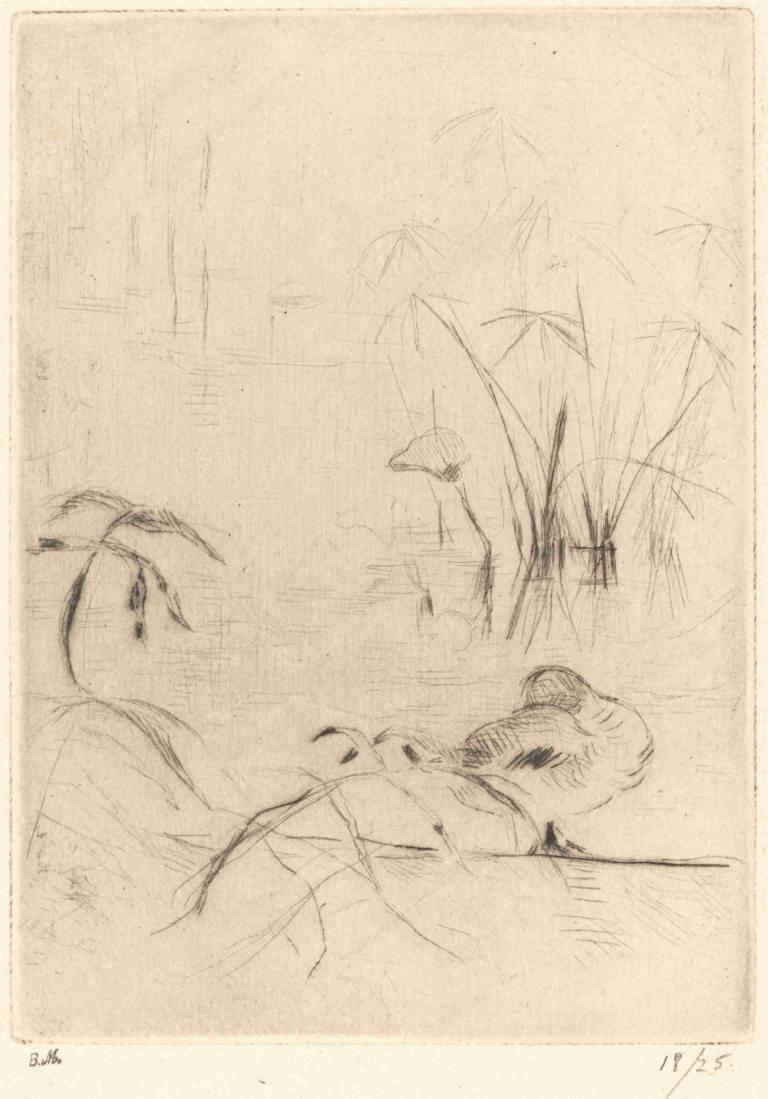 Ducks at Rest on the Bank,Ducks i vila på banken,Berthe Morisot,Skiss,Skiss, svartvit, träd, inga människor