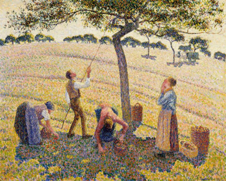 Apple Harvest,Æblehøst,Camille Pissarro,Oliemaleri,Oliemaleri, træ, flere drenge, udendørs, Mark, skjorte