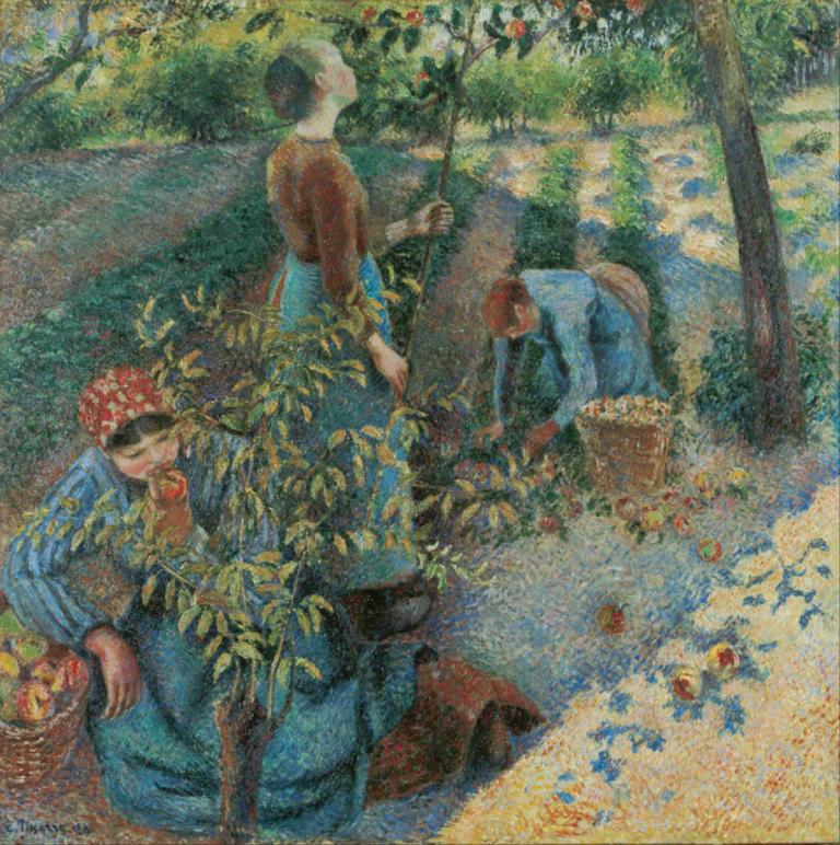 Apple Picking,Camille Pissarro,Oil Painting,Oil Painting, outdoors, apple, tree, food, fruit, holding