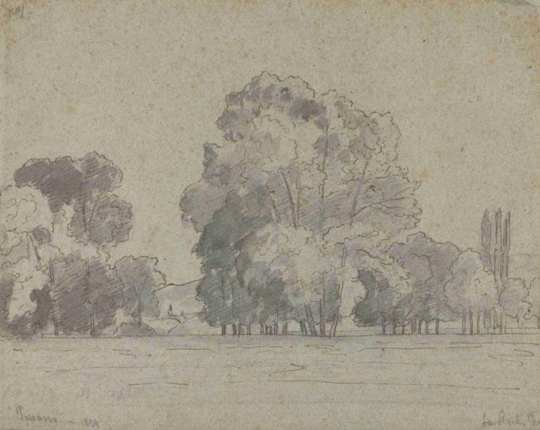 Grove of Trees,Hutan Pepohonan,Camille Pissarro,Sketsa,Sketsa, pohon, satu warna, tidak ada manusia