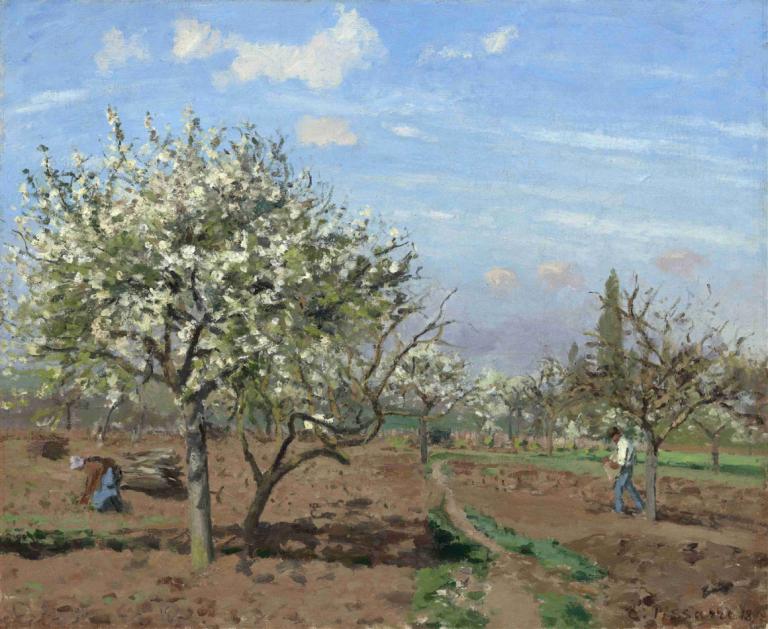 Orchard in Bloom,Louveciennes,Livada în floare,Louveciennes,Camille Pissarro,Pictura in ulei,Pictura in ulei