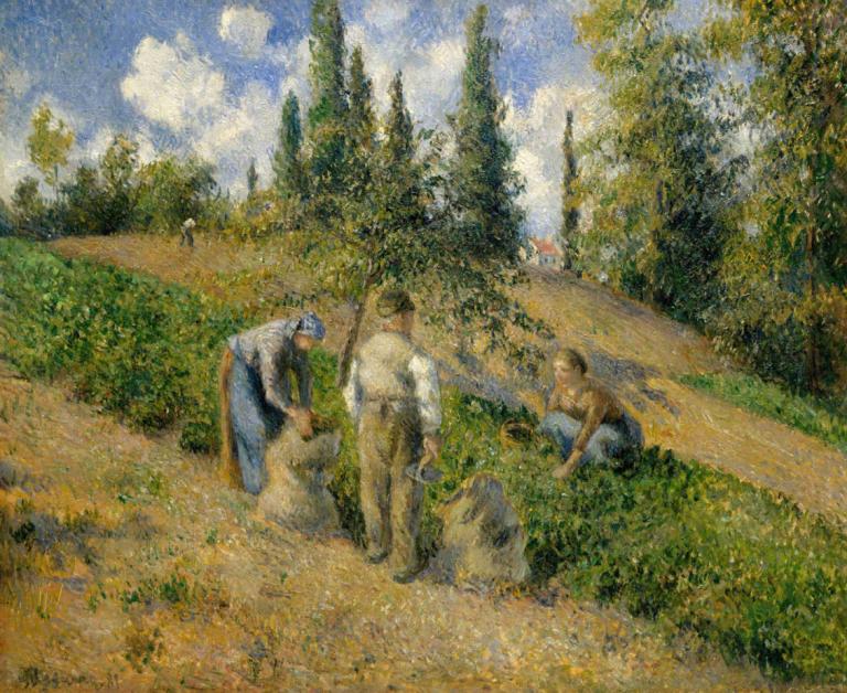 The Harvest, Pontoise (La Récolte, Pontoise),The Harvest, Pontoise (Die Ernte, Pontoise),Camille Pissarro