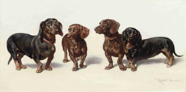 Four Dachshunds,Quattro bassotti,Carl Reichert,Pittura ad olio,Pittura ad olio, nessun essere umano, cane